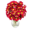 Fall Chrysanthemums^Lidl